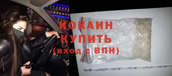 стаф Аркадак