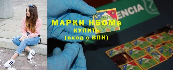 стаф Аркадак