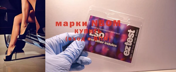 стаф Аркадак