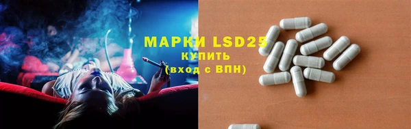 стаф Аркадак