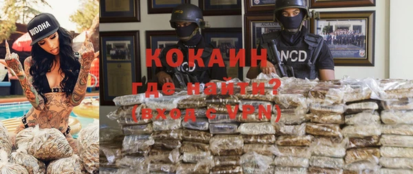 стаф Аркадак