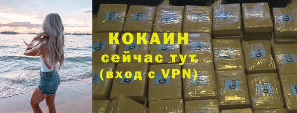 стаф Аркадак